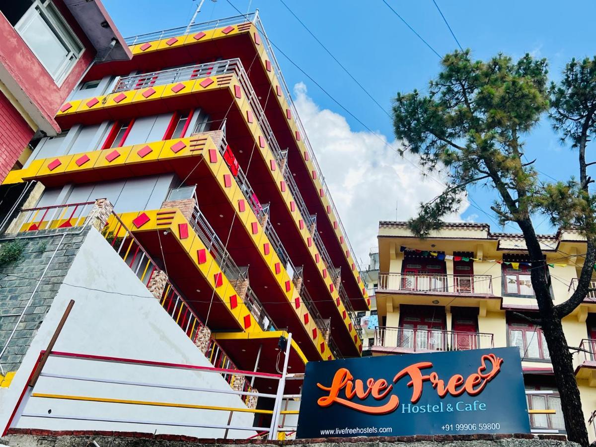 Live Free Hostel, Mcleodganj McLeod Ganj Esterno foto