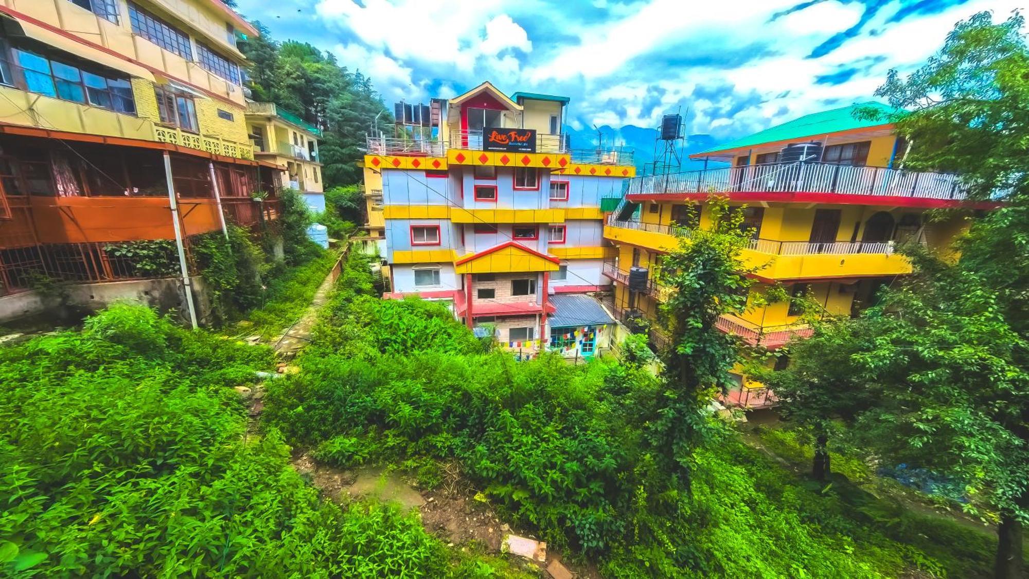 Live Free Hostel, Mcleodganj McLeod Ganj Esterno foto